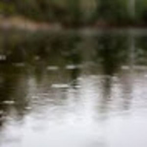 Meet your Posher, Good